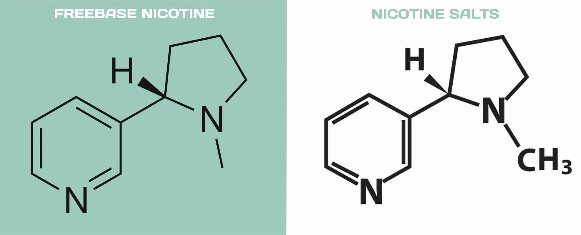 Here's a chart comparing the chemical elements of Freebase Nicotine and Nicotine Salts